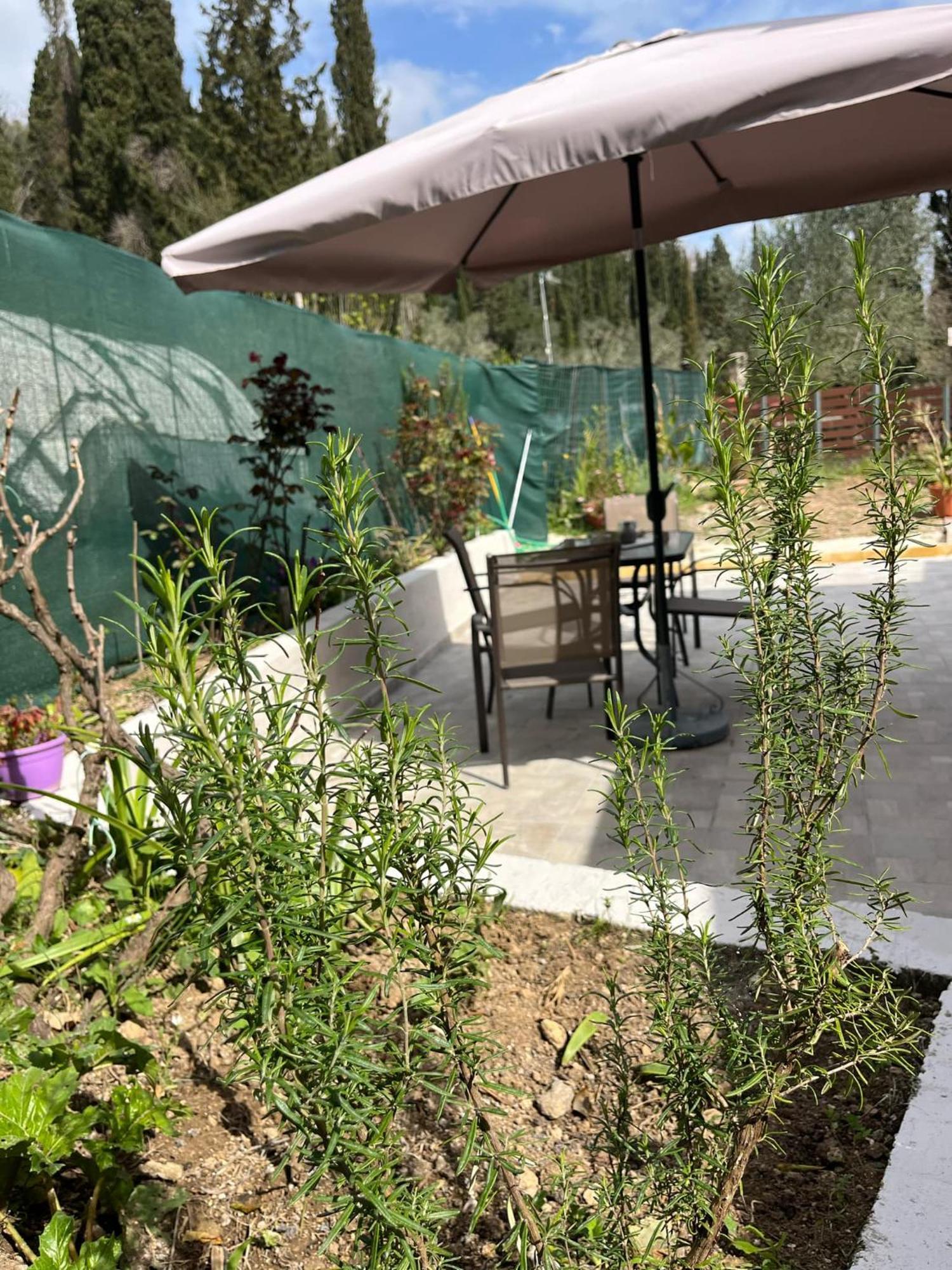 G&Z Cottage Kynopiástai Eksteriør billede